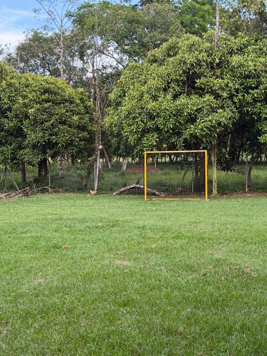 Cancha de fútbol en grama con un arco amarillo y árboles al fondo