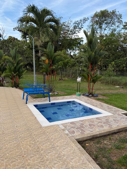 Piscina pequeña cuadrada junto a una banca azul y palmas