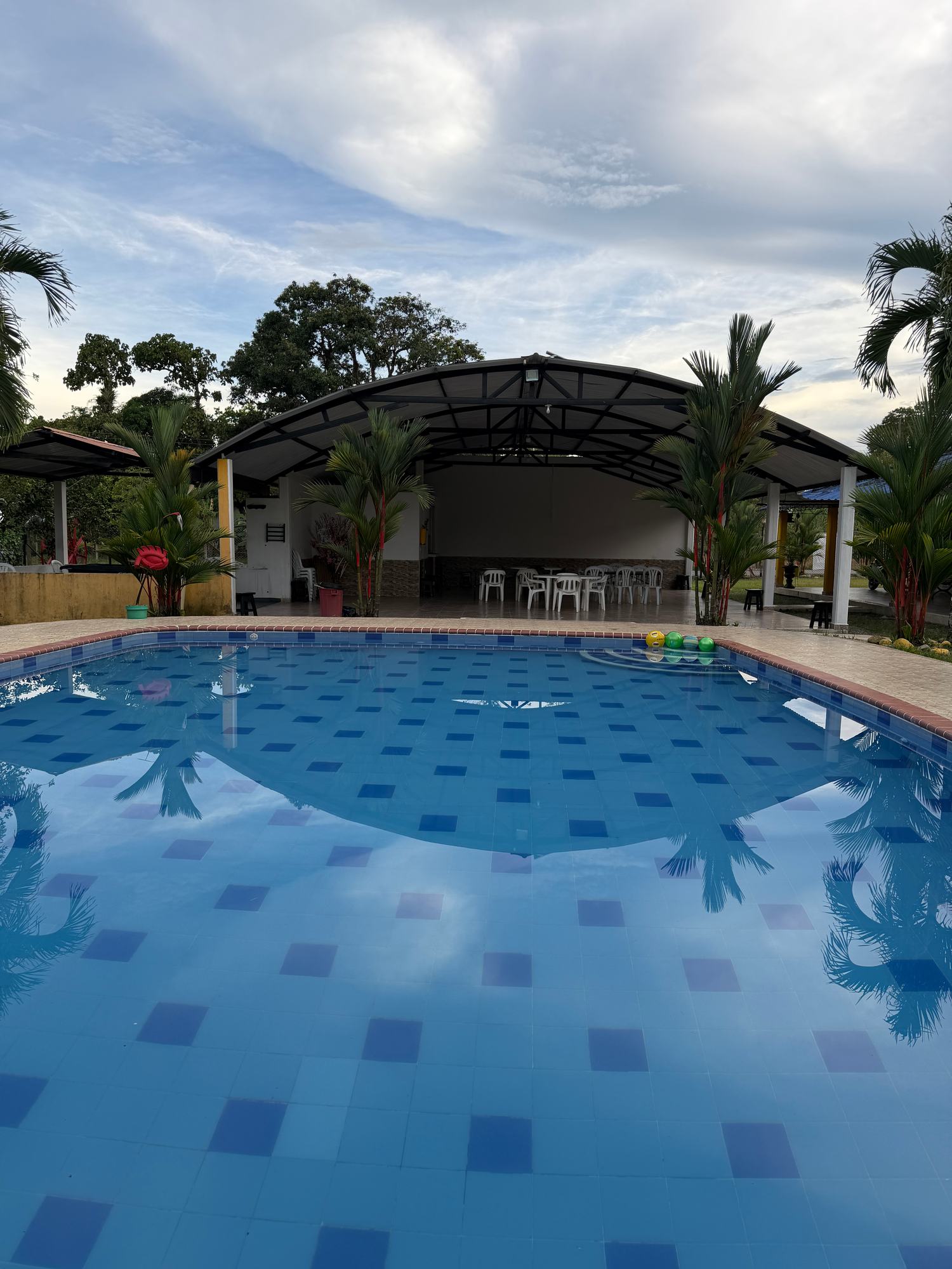 Piscina de la finca con el salón social cubierto y palmas al fondo